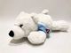 O presente do algodão de 100% PP encheu o luxuoso de encontro pequeno Toy Gifts For Kids do urso polar