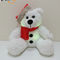 Diodo emissor de luz do Xmas que ilumina o urso do luxuoso com o brinquedo do luxuoso das crianças do urso do diodo emissor de luz de Santa Hat Kids Gift