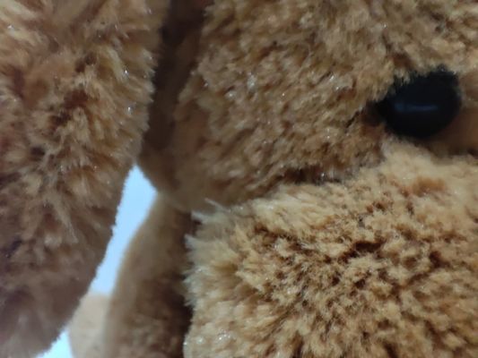 O brinquedo de pelúcia do cão pode ser aquecido no microondas