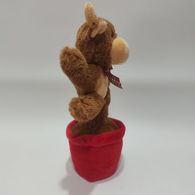 Vaca de montanha cantando e dançando