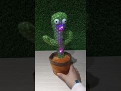 Recording & Repeating & Singing Cactus