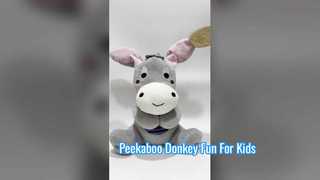 Burro esconde-esconde